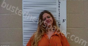 DOCKERY, SHEENA RENEE | 2021-06-11 12:23:00 Cherokee County, North Carolina Booking