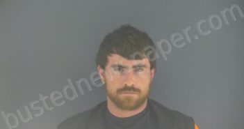 LEEDY, JOSHUA MICHAEL | 2021-06-11 22:44:00 Bedford County, Virginia Booking