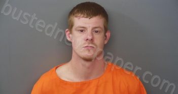 MELLOTT, STEVEN WAYNE | 2021-06-11 04:04:00 Hendricks County, Indiana Booking