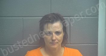 <B>KETCHAM</B>, <B>BILLIE</B> <B>JO</B> #, Scott County, Kentucky - 2021-06-11 20:34:00