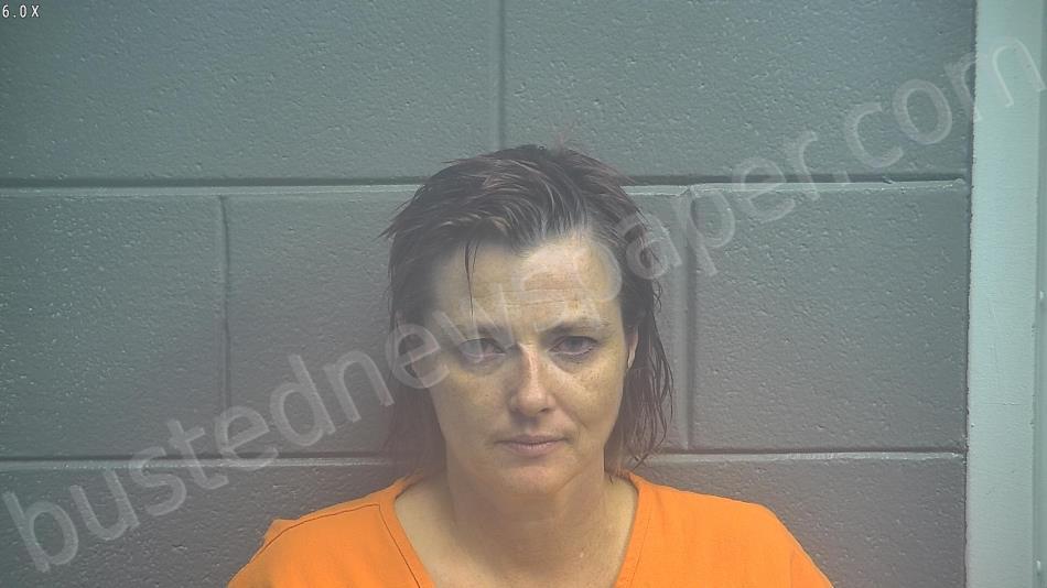 KETCHAM, BILLIE JO #, Scott County, Kentucky - 2021-06-11 20:34:00