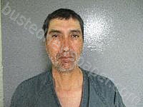 PEREZ-ENRIQUEZ, PEDRO #, Van Buren County, Michigan - 2021-06-12