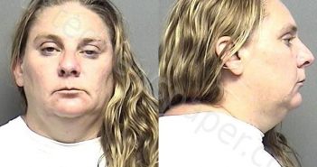 COX,RACHEL KAREN | 2021-06-13 09:39:00 Saline County, Kansas Booking