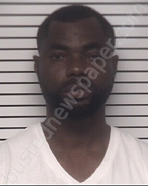 DUNYO, NOBLE TONY #, Iredell County, North Carolina - 2021-06-13 02:54:00