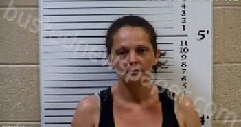 HILLERY, JESSICA LAUREN | 2021-06-14 05:56:00 Cherokee County, North Carolina Booking