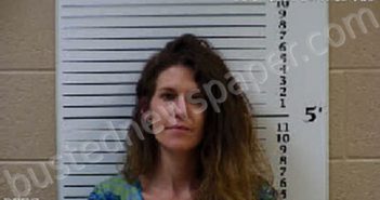 NEWMAN, MEGAN LEE | 2021-06-15 11:10:00 Cherokee County, North Carolina Booking