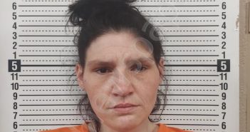 CURETON, SUSAN LOU-ANNE | 2021-06-15 17:55:00 Scott County, Missouri Booking