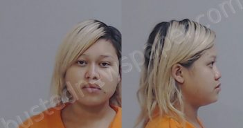 ZARAZUA, MARIA LUISA TELLO | 2021-06-16 Hidalgo County, Texas Booking