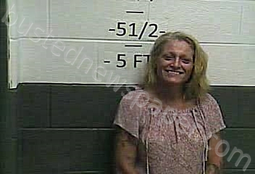 MCELFRESH, ALISHIA MARIE #, Whitley County, Kentucky - 2021-06-18 00:50:00