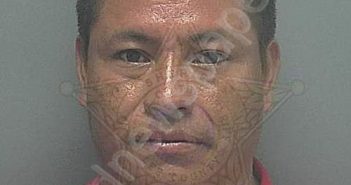 <B>ESTEBAN</B> CASTANEDA, <B>MATEO</B> <B>PEDRO</B> #, Lee County, Florida - 2021-06-18 21:25:00