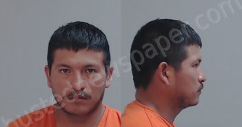 <B>RAMIREZ</B> MARTINEZ, <B>ERICK</B> E #, Hidalgo County, Texas - 2021-06-19