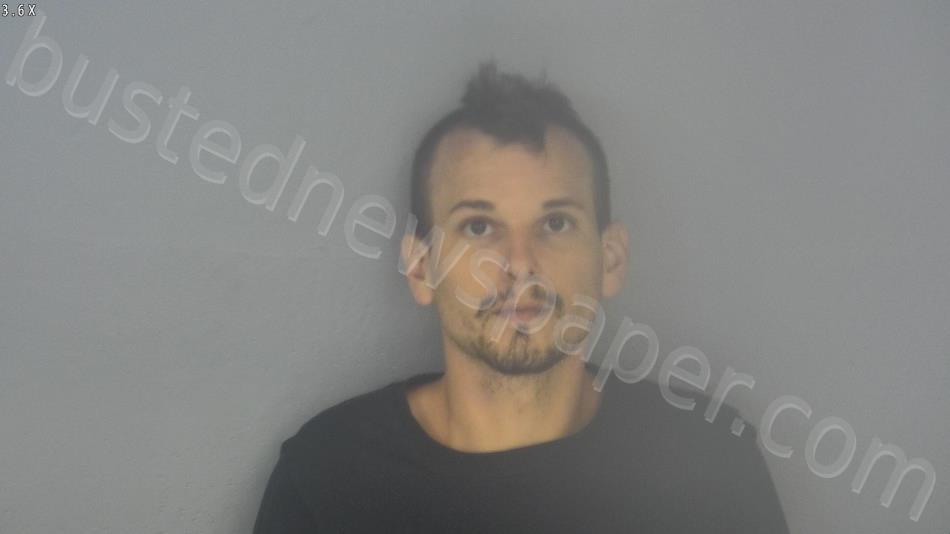 FARLEY, DAVID MICHAEL #, Greene County, Missouri - 2021-06-21 14:23:00