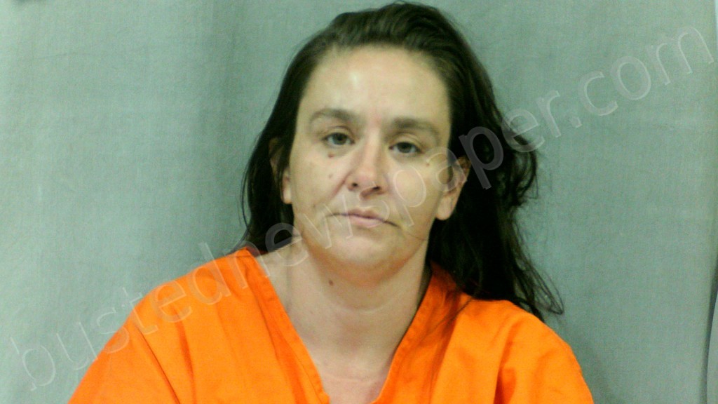 HURLEY, KAREN LEANN #, Mingo County, West Virginia - 2021-06-21 07:28:00