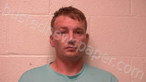 DENNIS, JEFFREY SHANE #, Robertson County, Tennessee - 2021-06-21 02:39:00