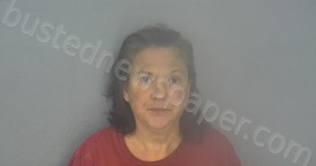 HINSON, BRONWEN STEPHANIE | 2021-06-22 01:17:00 Greene County, Missouri Booking