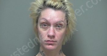 SALYER, ALISHA CHRISTINE | 2021-06-23 16:18:00 Miami County, Ohio Booking