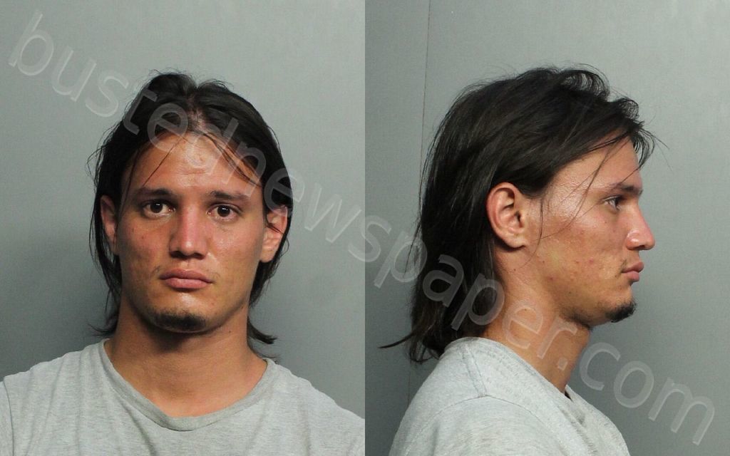 THOMAS, JONATHAN VYROSTA #, Miami-Dade County, Florida - 2021-06-24 04:13:00