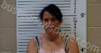 BARTLETT, HOLLIE ANN | 2021-06-25 08:29:00 Cherokee County, North Carolina Booking