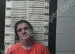 <B>JESSICA</B> <B>FERRIER</B> #, Cocke County, Tennessee - 2021-06-25 12:00:00