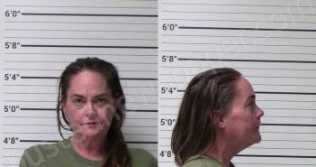 JOHNSTON, LEAH ELAINE | 2021-06-25 Kerr County, Texas Booking
