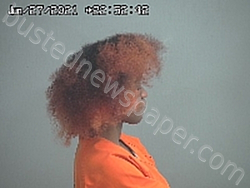 WILLIAMS DAISHIA OSHEA BRINAE #, Sandusky County, Ohio - 2021-06-27