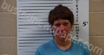 WHITENER, COURTNEY MARLANA | 2021-06-27 10:56:00 Cherokee County, North Carolina Booking
