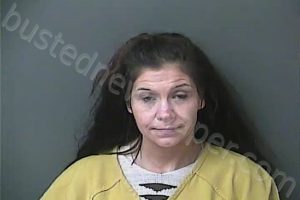 LAWLESS, MICHELLE IRENE | 2021-06-28 02:21:00 Howard County, Indiana Booking