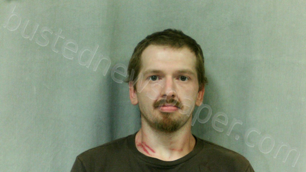 BAISDEN, SHADD ANDREW #, Mingo County, West Virginia - 2021-06-28 22:44:00