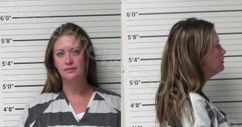 FERNANDEZ, CHELSEA ALAYNE | 2021-06-29 Kerr County, Texas Booking