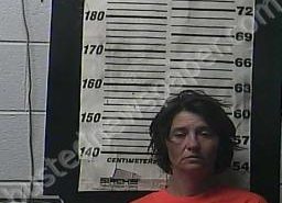 ALICE VICK | 2021-06-29 17:41:00 Cocke County, Tennessee Booking