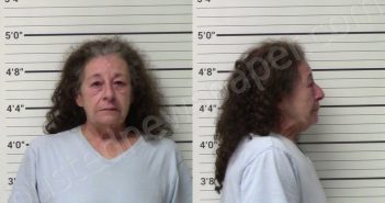 COMBS, CHERISSE | 2021-06-29 Kerr County, Texas Booking