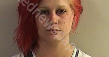 BAKER, ALYSSA SARA LYNNE | 2021-06-30 02:58:00 Dickinson County, Kansas Booking