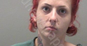 <B>FIELDS</B>, <B>EYVONNE</B> <B>RENEA</B> #, Montgomery County, Ohio - 2021-07-02 06:18:00