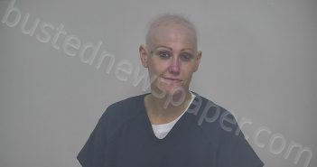BUTLER, GEORGENA LEONIA | 2021-07-02 11:15:00 Rockbridge Regional Jail, Virginia Booking