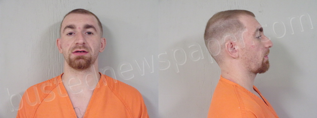 FREE, CALVIN ALLEN DOYLE #, Burnet County, Texas - 2021-07-02