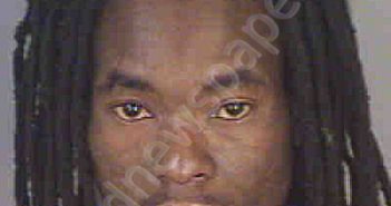 DESILME,LEVENSON | 2021-07-03 Collier County, Florida Booking