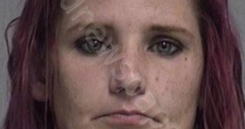 MCVEY, LEANN NONTOMBI | 2021-07-03 04:34:00 Nassau County, Florida Booking