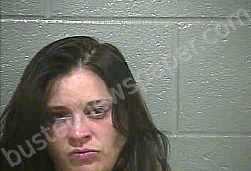 POTTER, JESSICA ALEXANDRIA #, Barren County, Kentucky - 2021-07-03 03:29:00