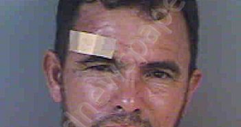 MONTADAACOSTA,GEANNY | 2021-07-03 Collier County, Florida Booking