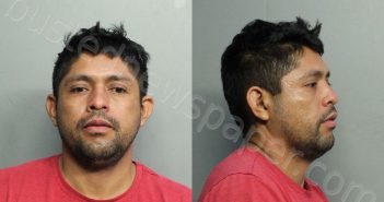 ZAPATA, CARLOS ROBERTO | 2021-07-04 08:30:00 Miami-Dade County, Florida Booking