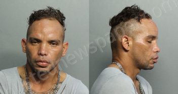 HASSANCASTILLO, HOWARD IRVIN | 2021-07-04 10:58:00 Miami-Dade County, Florida Booking