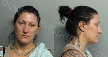 PECEK, COLLEEN ANNE | 2021-07-04 07:57:00 Miami-Dade County, Florida Booking