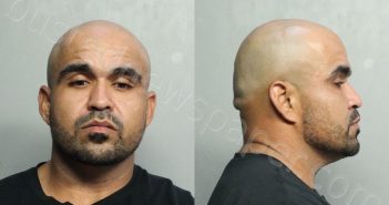 LOAIZA, DIEGO MIGUEL | 2021-07-04 07:30:00 Miami-Dade County, Florida Booking