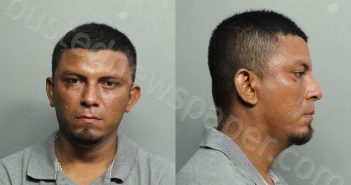 RUIZ-RODRIGUEZ, CARLOS ADRIAN | 2021-07-04 06:51:00 Miami-Dade County, Florida Booking
