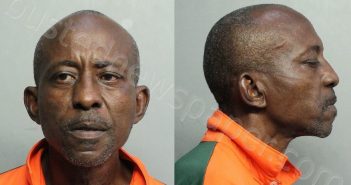 WILLIAMS, JOHNNIE BERRY | 2021-07-04 11:52:00 Miami-Dade County, Florida Booking