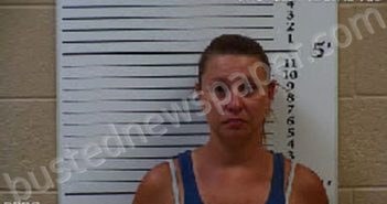 JOHNSON, TARA ASHLEY | 2021-07-06 10:47:00 Cherokee County, North Carolina Booking