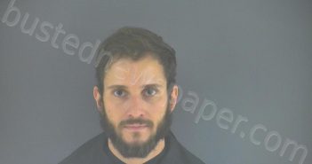 REESE, BRANDO ALONSO | 2021-07-07 15:17:00 Bedford County, Virginia Booking