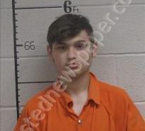 DARON SAVAGE | 2021-07-07 01:10:00 Sequatchie County, Tennessee Booking