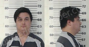 REID, DANIEL | 2021-07-07 Henderson County, Texas Booking