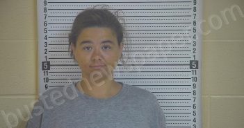 ANDERSON, CHRISTINA | 2021-07-07 21:18:00 Taylor County, Kentucky Booking